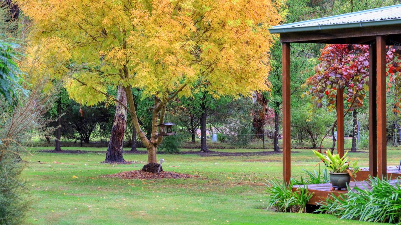 Beechworth Cedar Cottages Kültér fotó